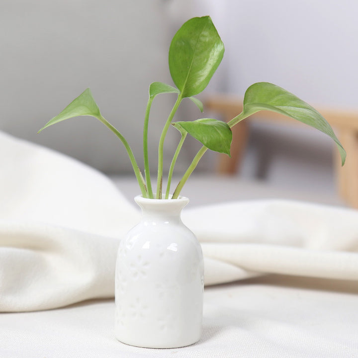 Charmante Keramik-Bud-Vase Karnz