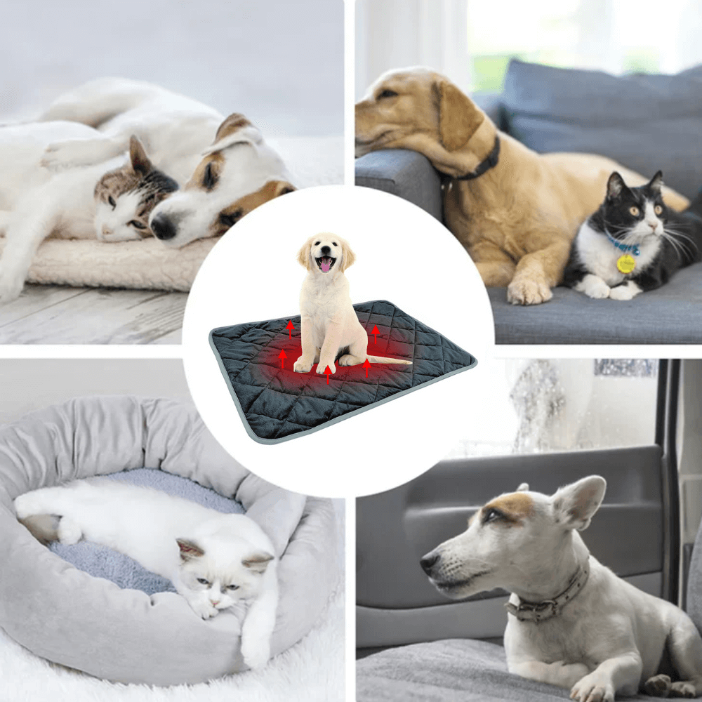 ToastyPaws Hund Selbstheizendes Kissen