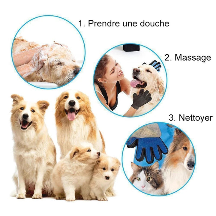 Haushund Reinigungs Handschuhe | Karnz