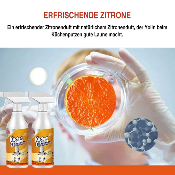 Schaumreiniger für die Küche | Karnz