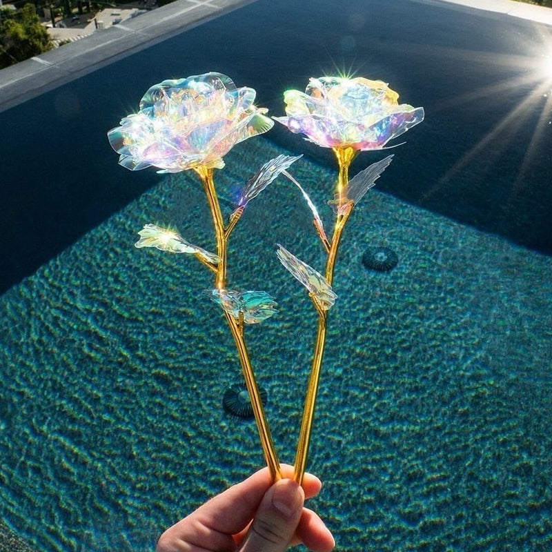 Glänzende schlafende Rose Valentinstag