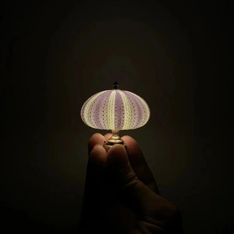 DIY Seeigel Nachtlicht - LumiUrchin | Karnz