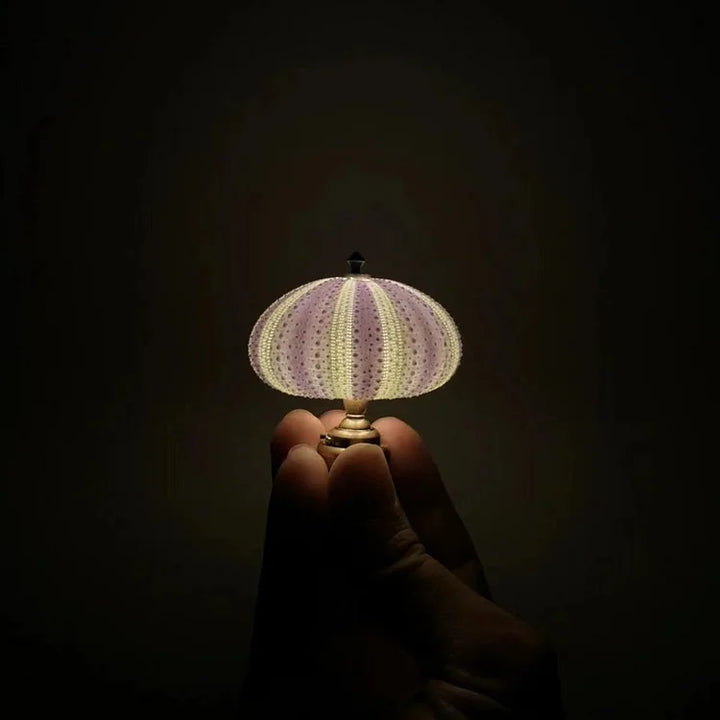 LumiCraft – Einzigartige DIY-Tischlampe mit natürlicher Muschel für ein gemütliches Ambiente