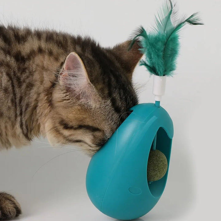 Catnip Ball Tumbler Spielzeug | Karnz