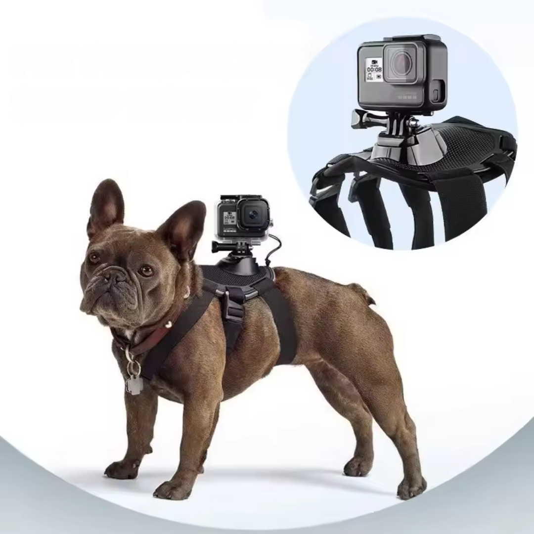 Action-Cam Hundegeschirr mit 360° Perspektive Karnz