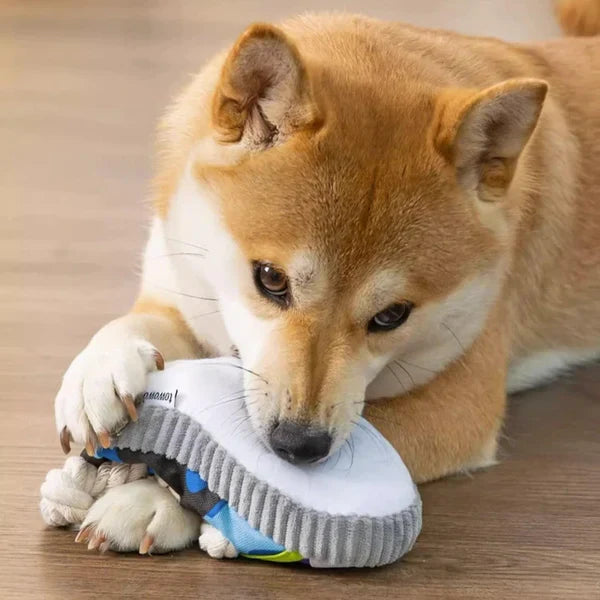Robustes Hundespielzeug Sneaker mit Seil und Quietscherfunktion Karnz