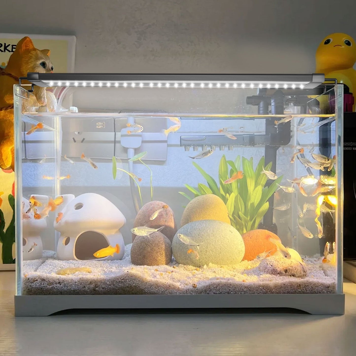 LED Aquarium Beleuchtung 24/7 Modus mit Zeitschaltung | Karnz