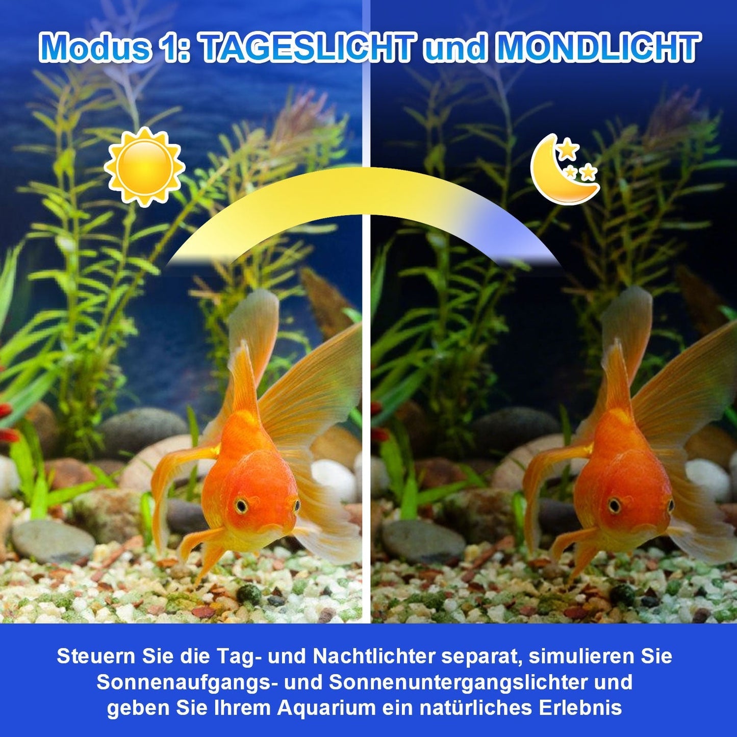 LED Aquarium Beleuchtung 24/7 Modus mit Zeitschaltung | Karnz