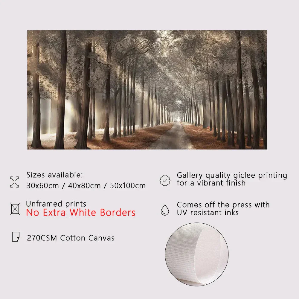 Herbstsonnenwald Wandkunst Fine Art Leinwanddruck Natürliches Landschaftsbild Für Wohnzimmer Esszimmer Skandinavische Wohnkultur