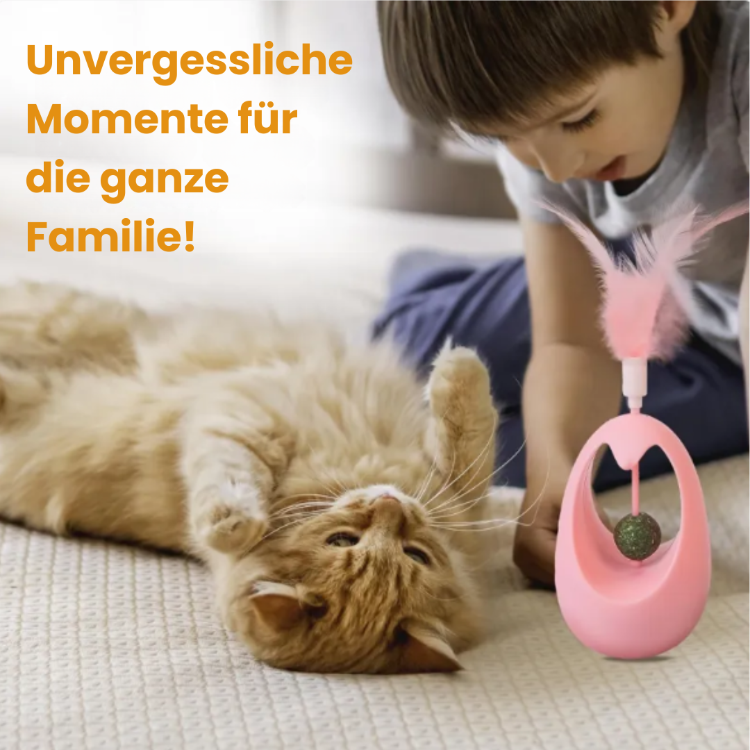 Catnip Ball Tumbler Spielzeug | Karnz