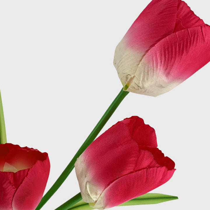 Zeitgenössische kreative Solar-Wasserdichte Kunst-Tulpen Edelstahl ABS Stoff LED Erdstecker Rasen Landschaft Lampe für Außenpatio | Karnz