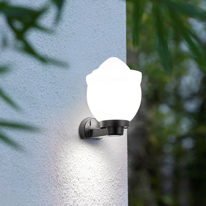 Moderne Schlichtheit Blumenform Quadratisch Zylinder Ball Acryl ABS Eisen 1-Licht Wandleuchte Lampe für Außenbereich Patio | Karnz