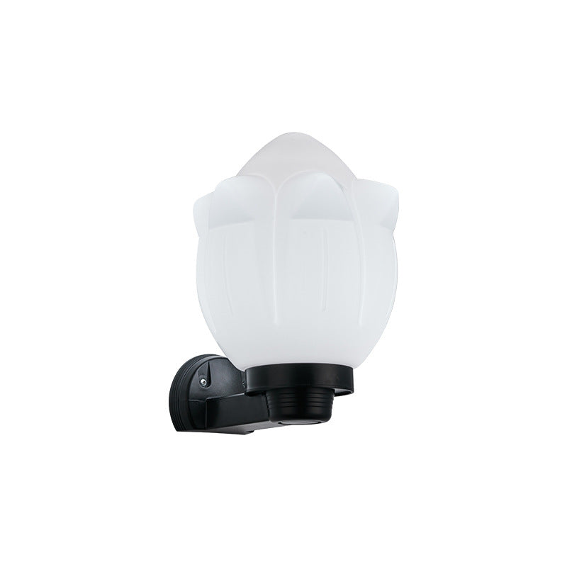 Moderne Schlichtheit Blumenform Quadratisch Zylinder Ball Acryl ABS Eisen 1-Licht Wandleuchte Lampe für Außenbereich Patio | Karnz