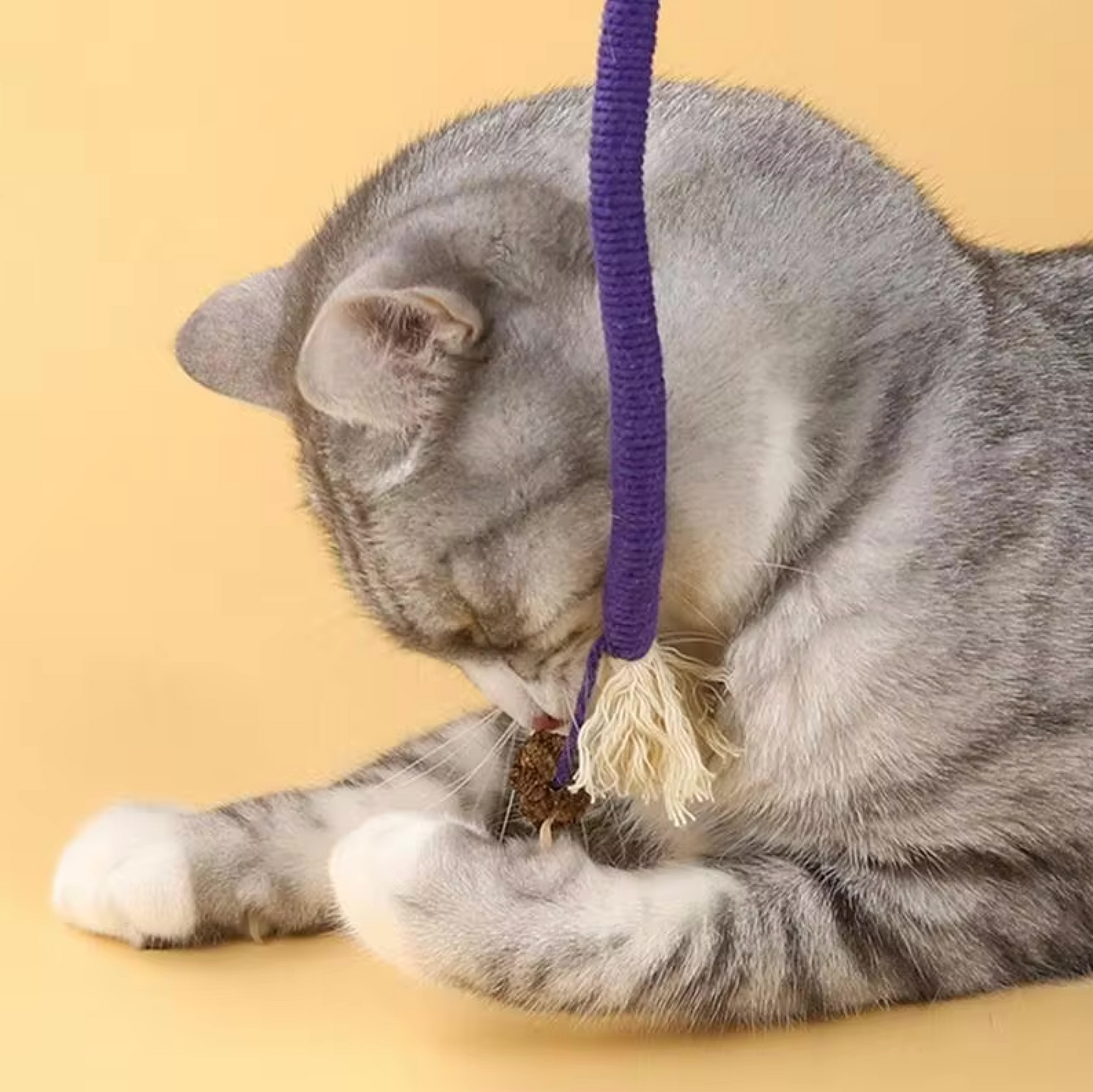Zahnpflege-Spielzeug für Katzen | Karnz