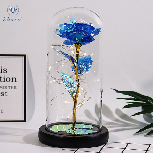 Rose in Glaskuppel Display | Karnz