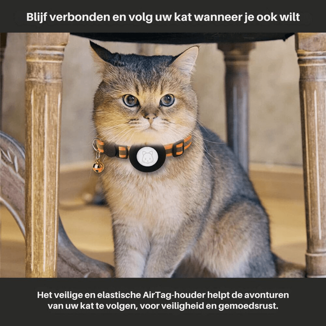 GPS-Tracker-Halsband für mehr Sicherheit und Sichtbarkeit bei Katzen