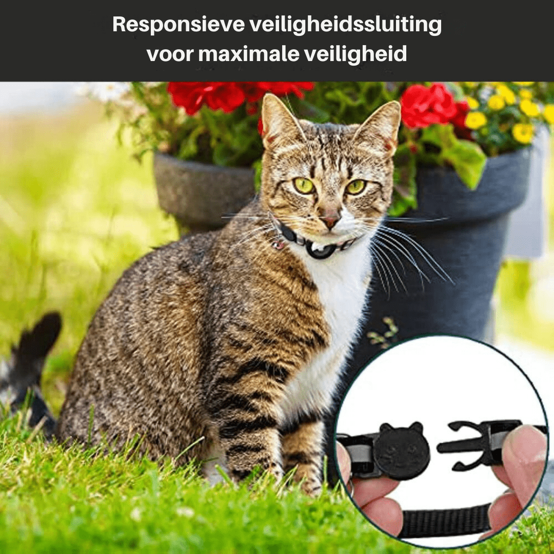 GPS-Tracker-Halsband für mehr Sicherheit und Sichtbarkeit bei Katzen