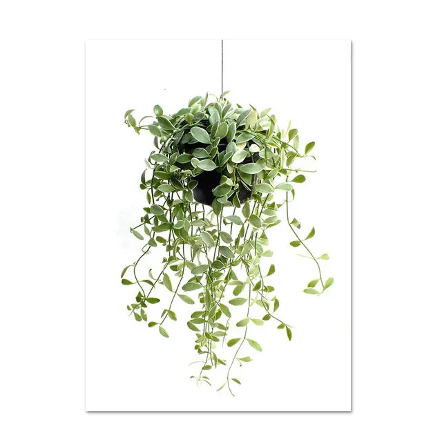 Kaktus Eukalyptus Tropisches Grünes Botanik Wandkunst Fine Art Leinwanddrucke Bilder für Wohnzimmer Küche Esszimmer Wohnkultur