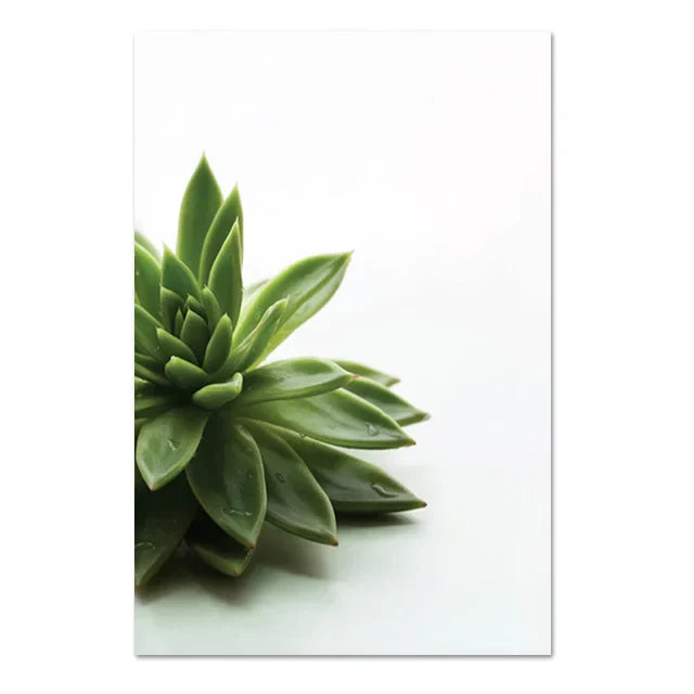 Kaktus Eukalyptus Tropisches Grünes Botanik Wandkunst Fine Art Leinwanddrucke Bilder für Wohnzimmer Küche Esszimmer Wohnkultur