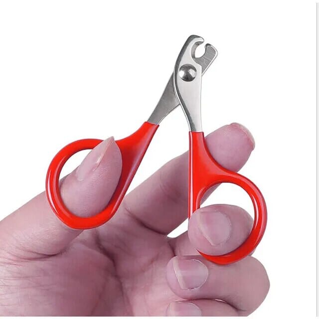Karnz-Nagelschneider