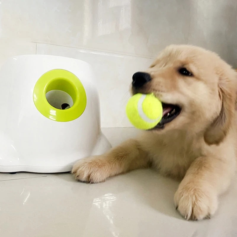 PlayBolt Automatischer Ballwerfer für Hunde | Karnz
