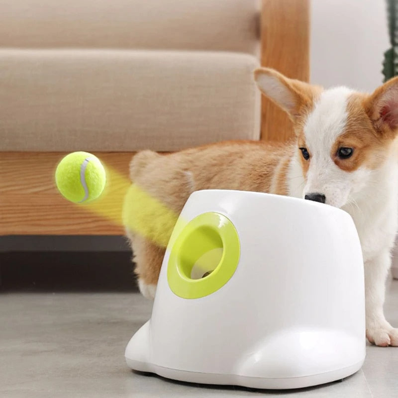 PlayBolt Automatischer Ballwerfer für Hunde | Karnz