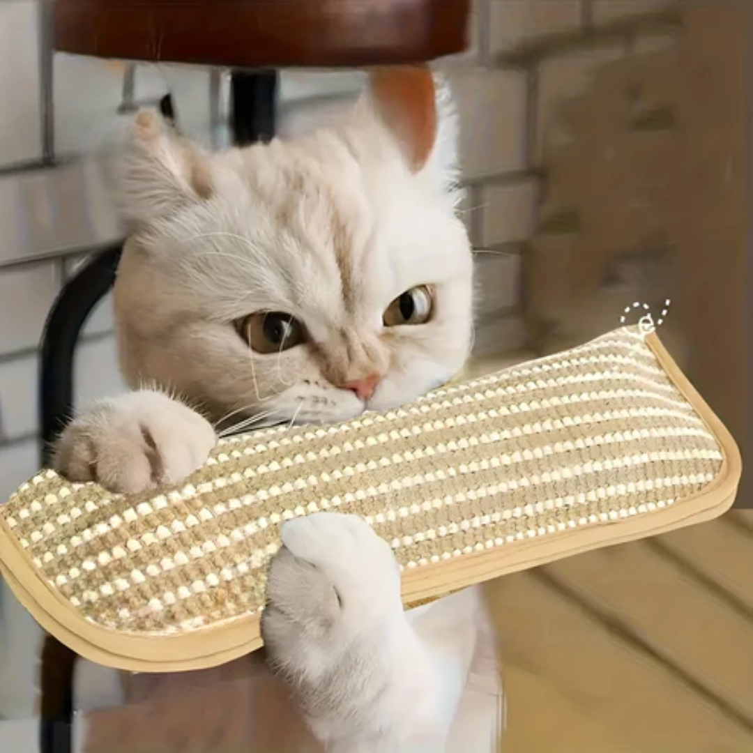 Kratzkissen für Katzen mit Katzenminze langlebig und robust Karnz