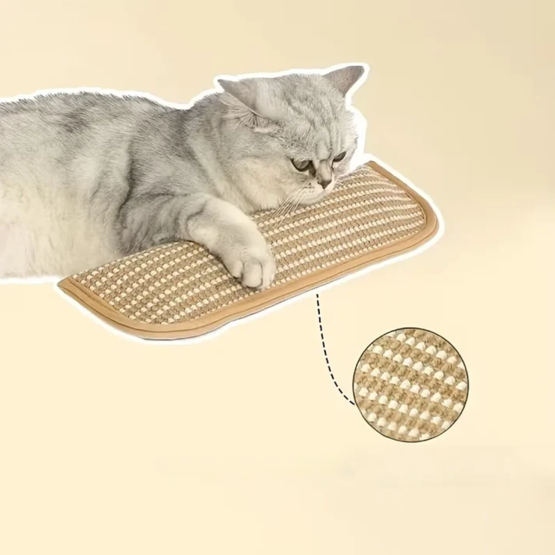 Kratzkissen für Katzen mit Katzenminze langlebig und robust Karnz