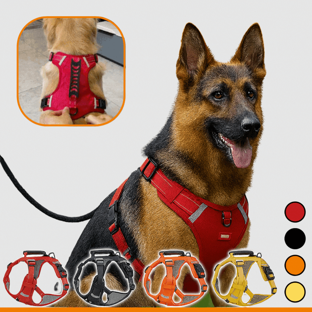 HappyHund Sicherheitsgeschirr reflektierend | Karnz