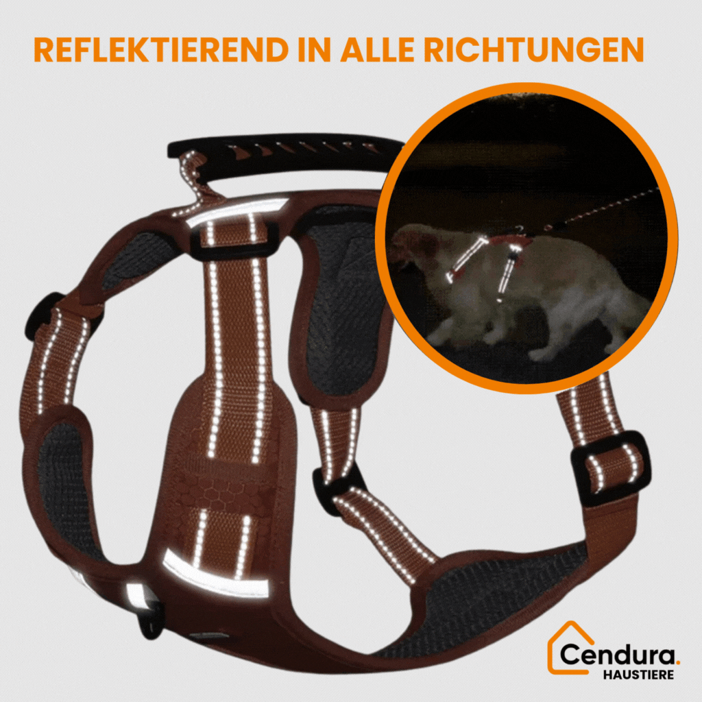 HappyHund Sicherheitsgeschirr reflektierend | Karnz