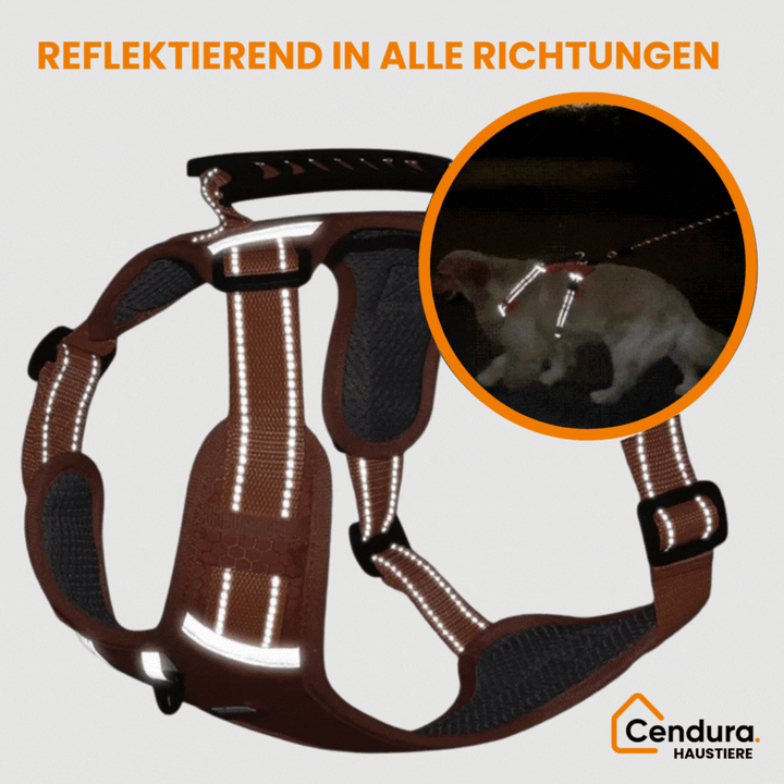 HappyHund Sicherheitsgeschirr reflektierend | Karnz