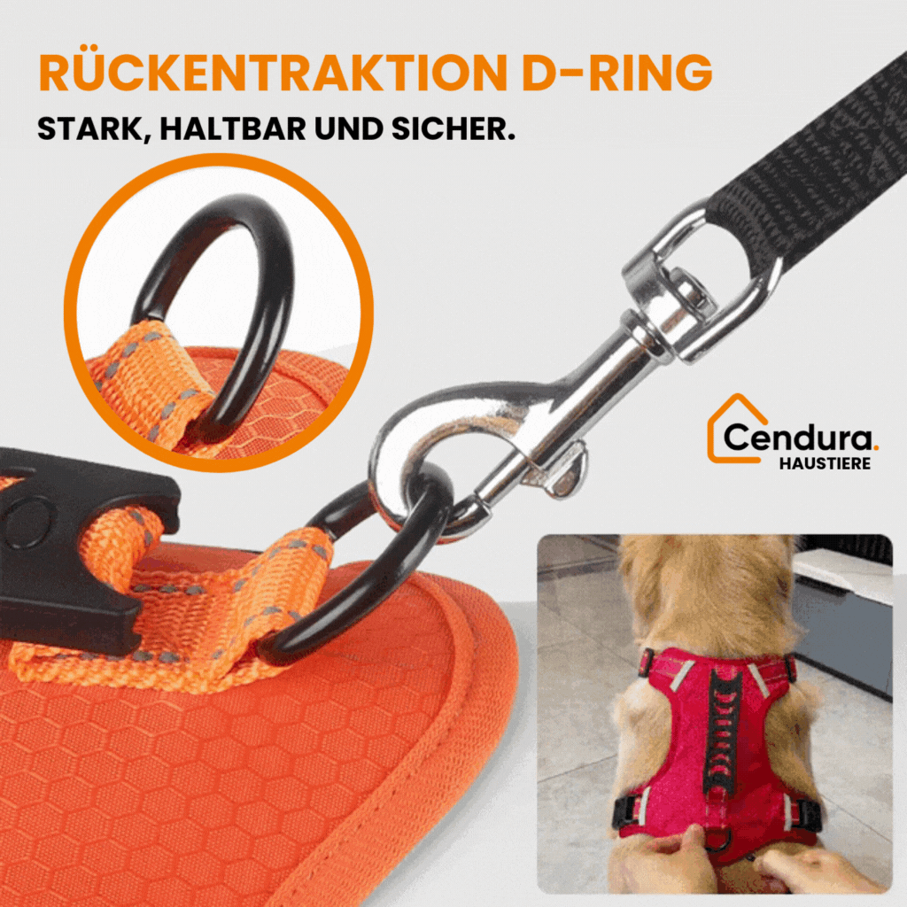 HappyHund Sicherheitsgeschirr reflektierend | Karnz
