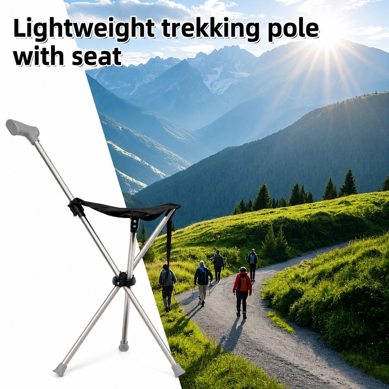 2-in-1 Gehstock mit Sitz | Karnz