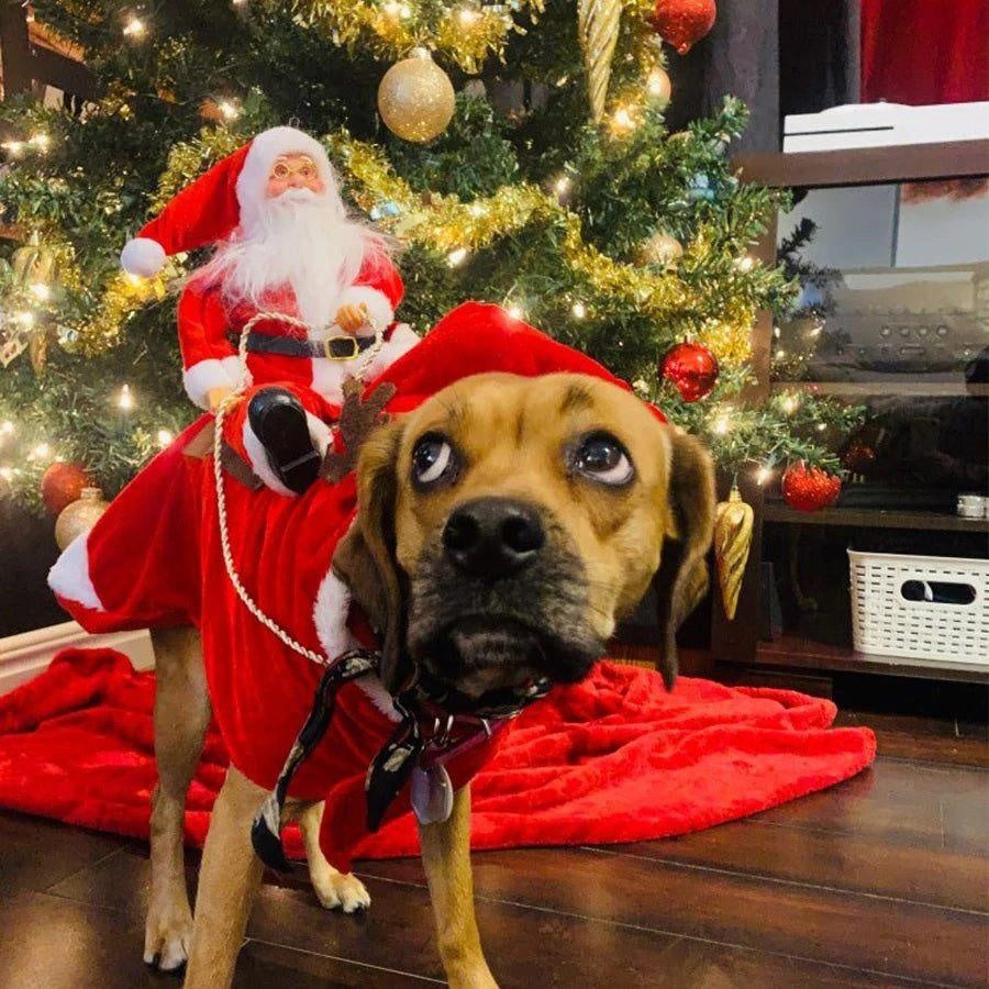Weihnachtsmann Hundekostüm | Karnz