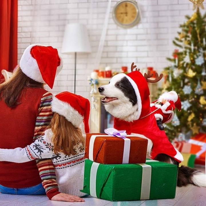Weihnachtsmann Hundekostüm | Karnz