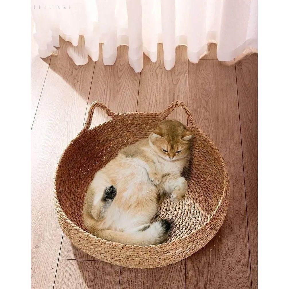 Cloud Nest – Superweiches und gemütliches Katzenbett