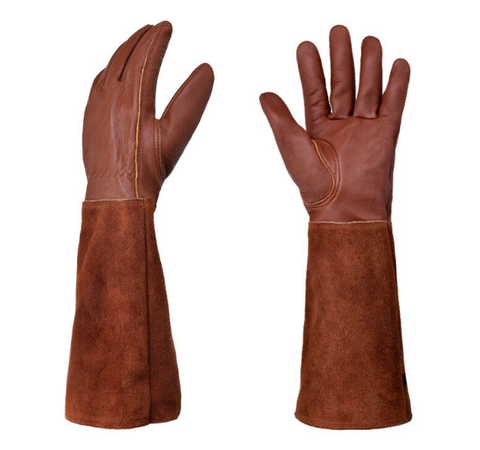 ThornGuard — Schützen Sie Ihre Hände, um jede Rose schmerzfrei zu lieben | Karnz
