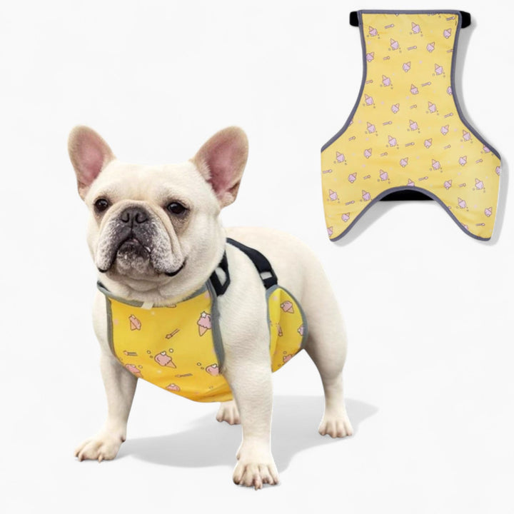 CooLie Frenchie Kühlweste – Sommerschutz für den Bauch Komfort | Karnz