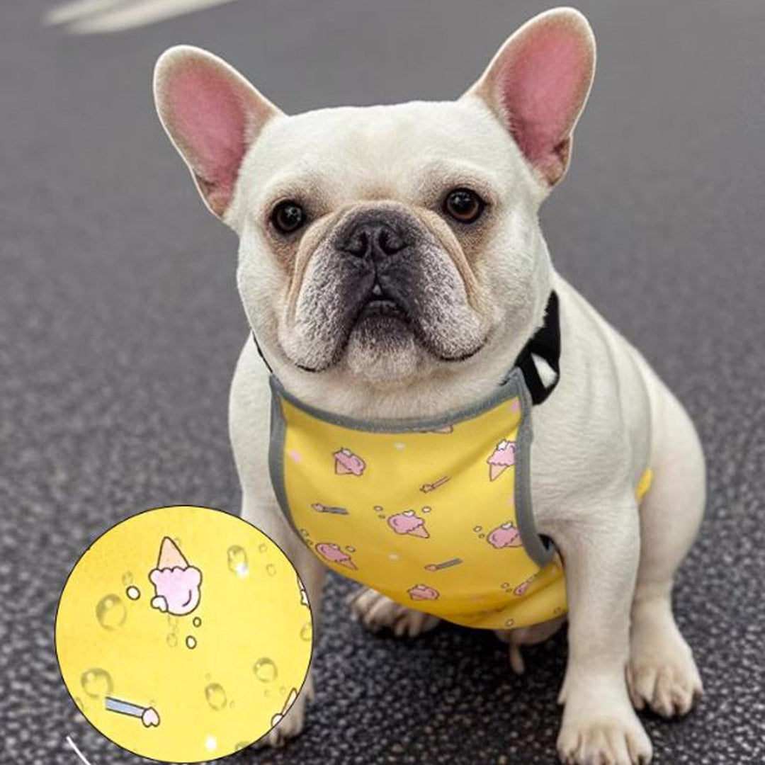 CooLie Frenchie Kühlweste – Sommerschutz für den Bauch Komfort | Karnz