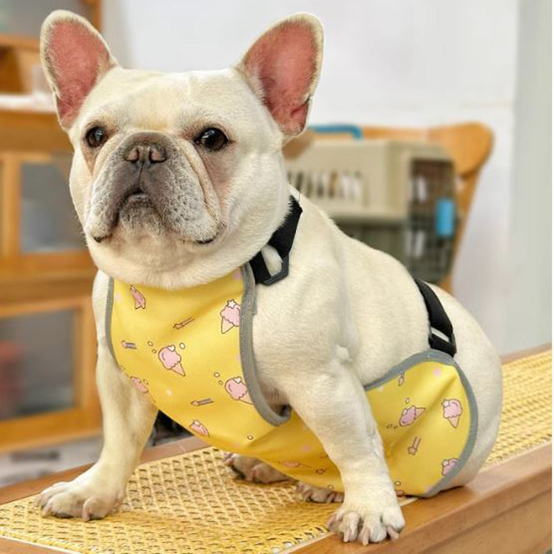 CooLie Frenchie Kühlweste – Sommerschutz für den Bauch Komfort | Karnz