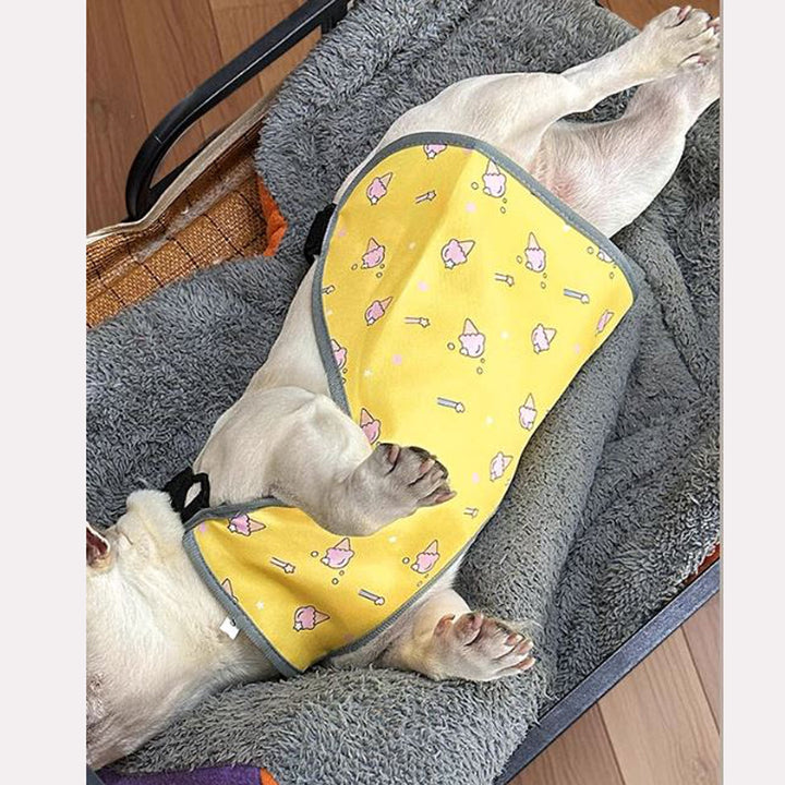 CooLie Frenchie Kühlweste – Sommerschutz für den Bauch Komfort | Karnz