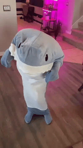 Shark-Decke 🦈 | Karnz