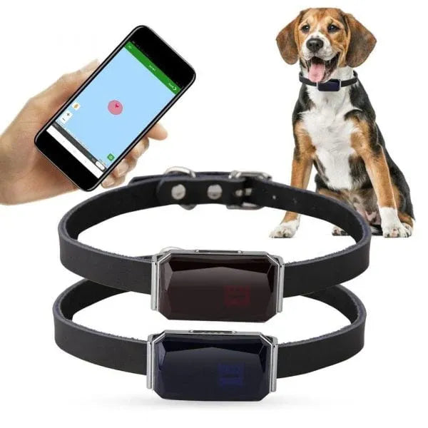 Pet GPS Tracker - Echtzeit-Standortverfolgungssystem für Haustiere | Karnz