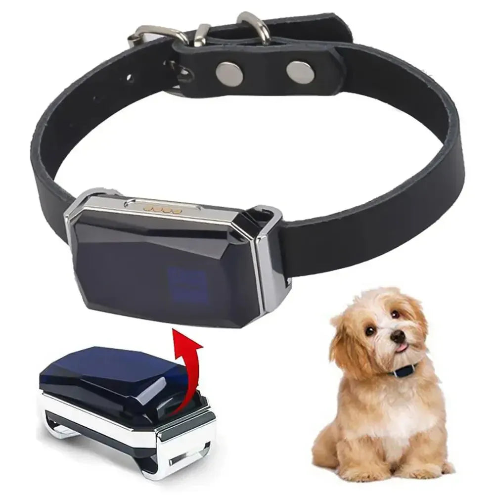 Pet GPS Tracker - Echtzeit-Standortverfolgungssystem für Haustiere | Karnz