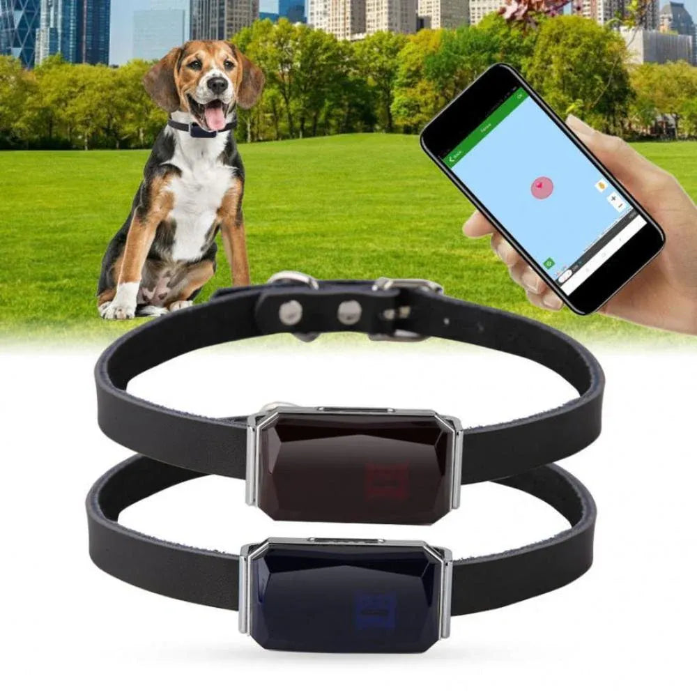Pet GPS Tracker - Echtzeit-Standortverfolgungssystem für Haustiere | Karnz