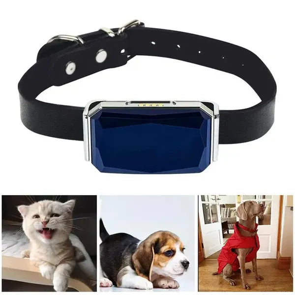 Pet GPS Tracker - Echtzeit-Standortverfolgungssystem für Haustiere | Karnz