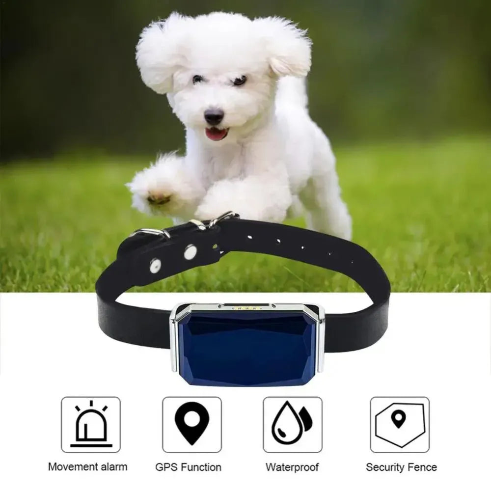 Pet GPS Tracker - Echtzeit-Standortverfolgungssystem für Haustiere | Karnz