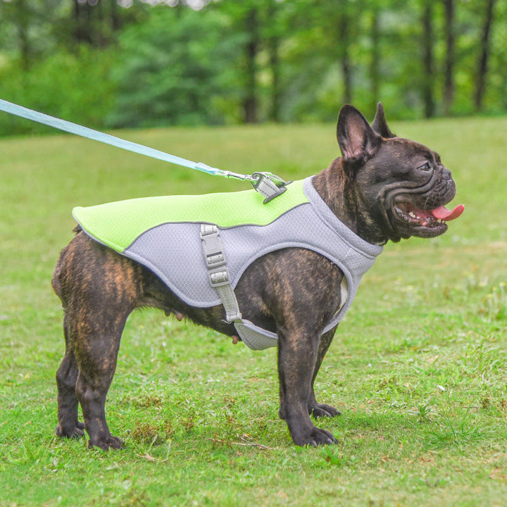 Französische Bulldogge Sommer Kühlweste Hitzebeständig Atmungsaktiv Sonnenschutz | Karnz