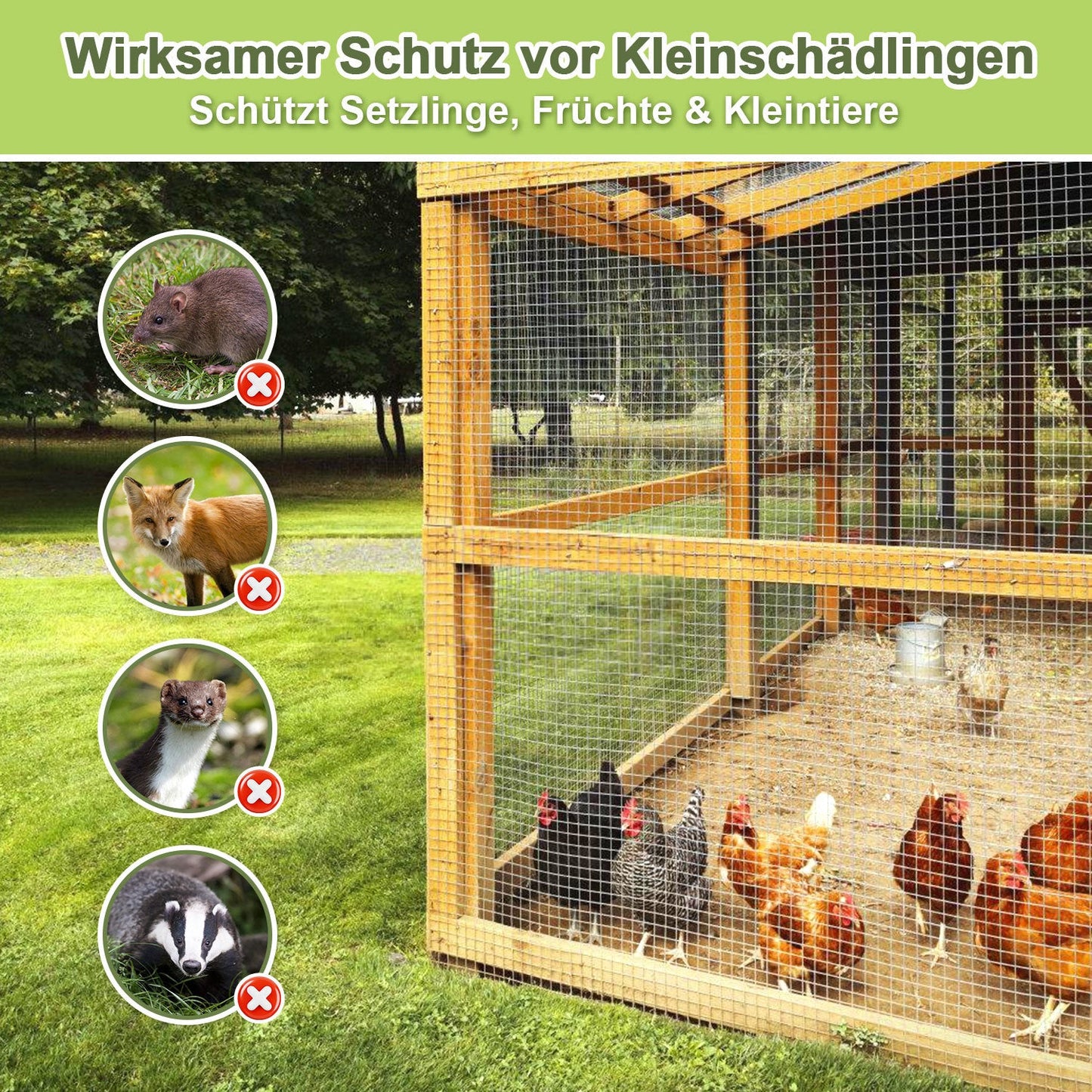 Drahtgitter Verzinkter 5m/10m Volierendraht Wühlmausgitter | Karnz