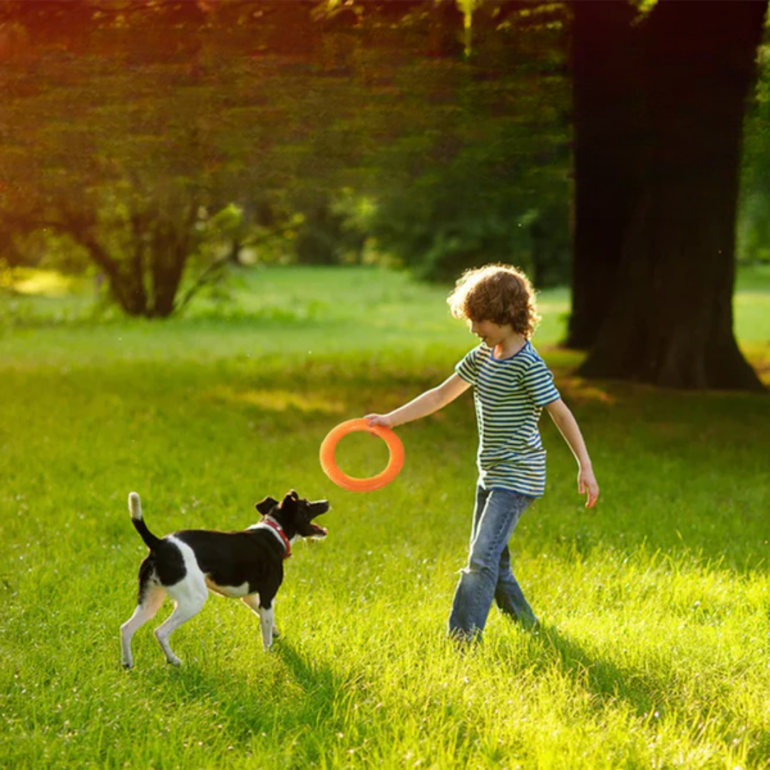 Schwebender EVA Trainingsring für Hunde Karnz